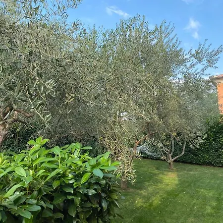 Villa Eva Karigador
