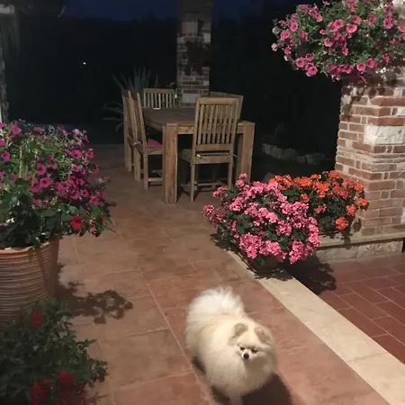 Eva Karigador Villa *