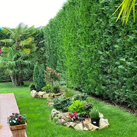 Eva Karigador Novigrad Istria