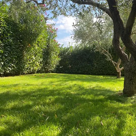 Villa Eva Karigador Novigrad Istria