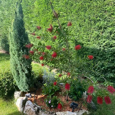 Villa Eva Karigador *